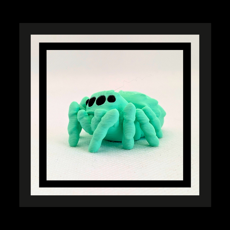 Phidippus 3D