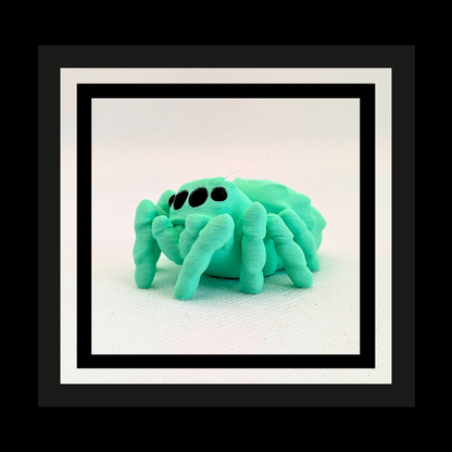 Phidippus 3D