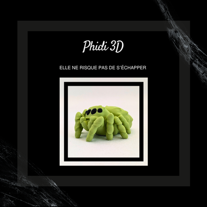 Phidippus 3D